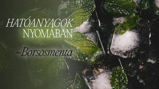 Hatóanyagok nyomában: Borsosmenta blogposzt borítókép