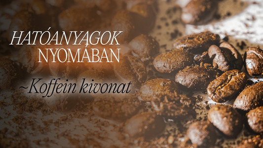 Hatóanyagok nyomában blogposzt borítókép