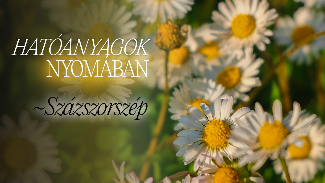 Hatóanyagok nyomában: Százszorszép borítókép