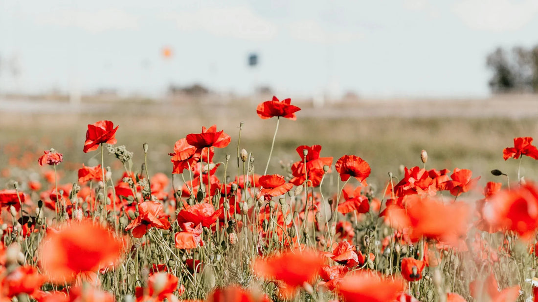 A magyar természet napja – május 22