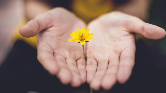 Így tápláld bőröd szépségét belülről