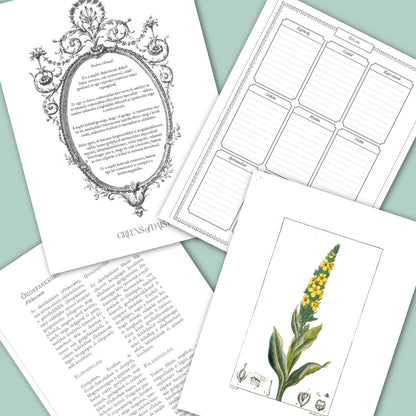 Greens  - Inspirációs Napló - LIMITÁLT