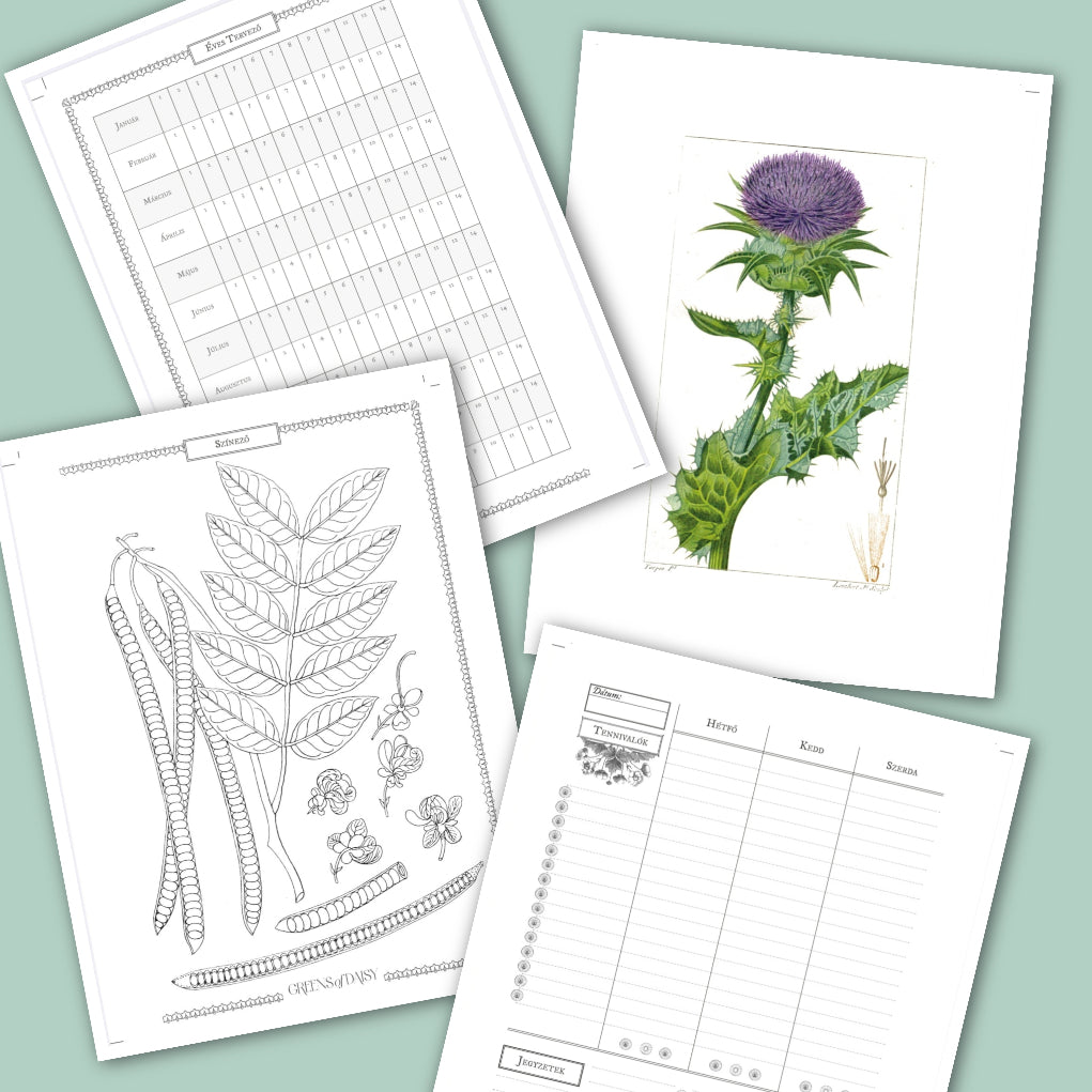 Greens  - Inspirációs Napló - LIMITÁLT