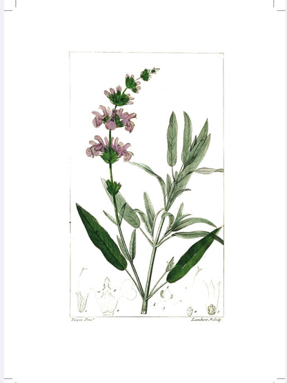 Greens  - Inspirációs Napló - LIMITÁLT