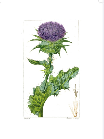 Greens  - Inspirációs Napló - LIMITÁLT